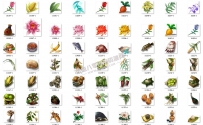 一组动物植物类传奇其他物品素材,PNG格式图标